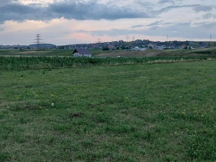 Teren Construcții intravilan de 3200 mp, în Burdujeni