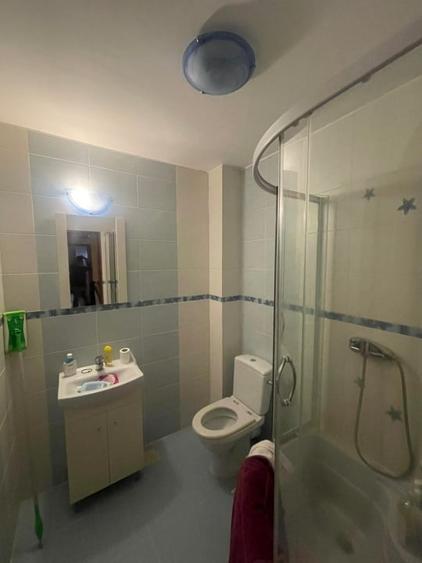 Apartament cu 3 camere decomandat, mobilat în Valea Borcutului