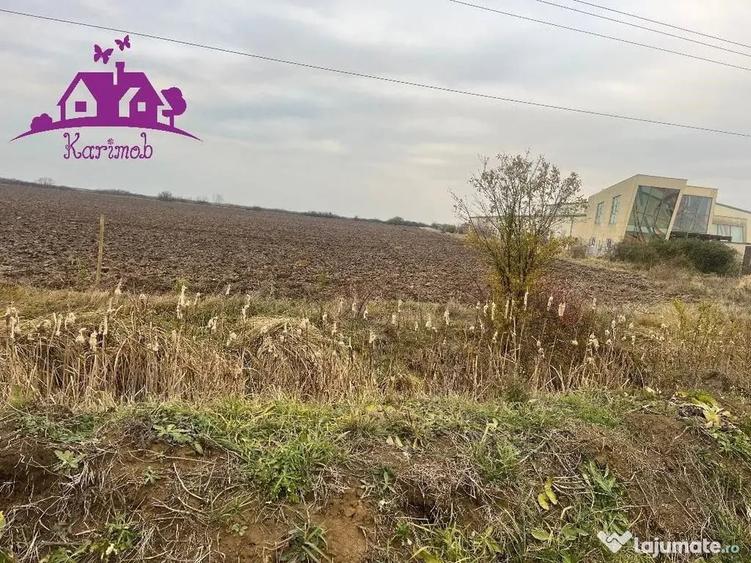 Teren de 5620 mp, în Nojorid