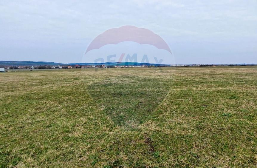 Teren agricol extravilan de 4900 mp, în Șura Mică