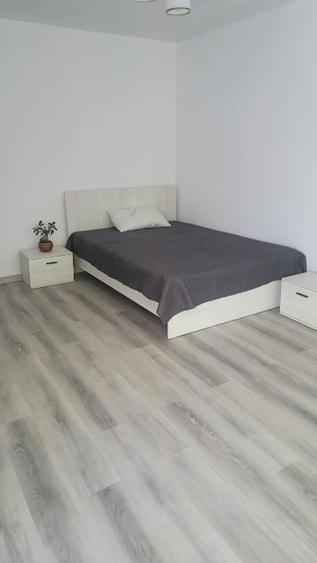 Garsonieră decomandată, mobilată în Nicolina