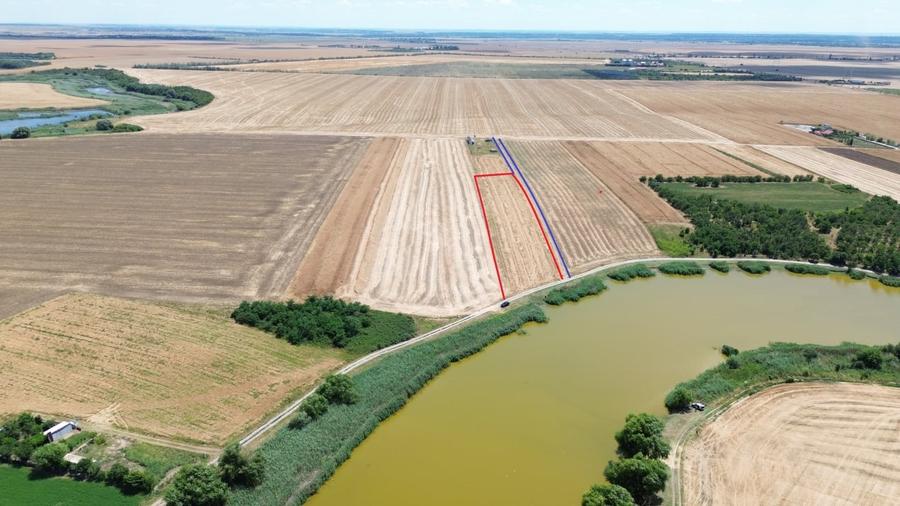 Teren Construcții extravilan de 6500 mp, în Frumușani