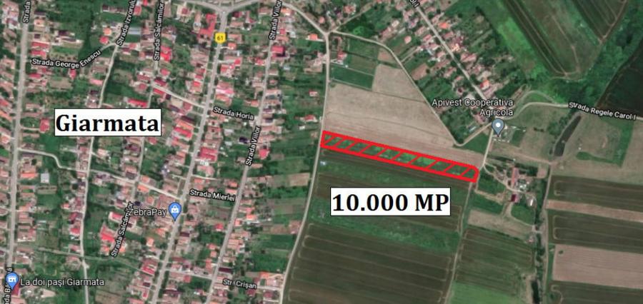 Teren de 10000 mp, în Giarmata