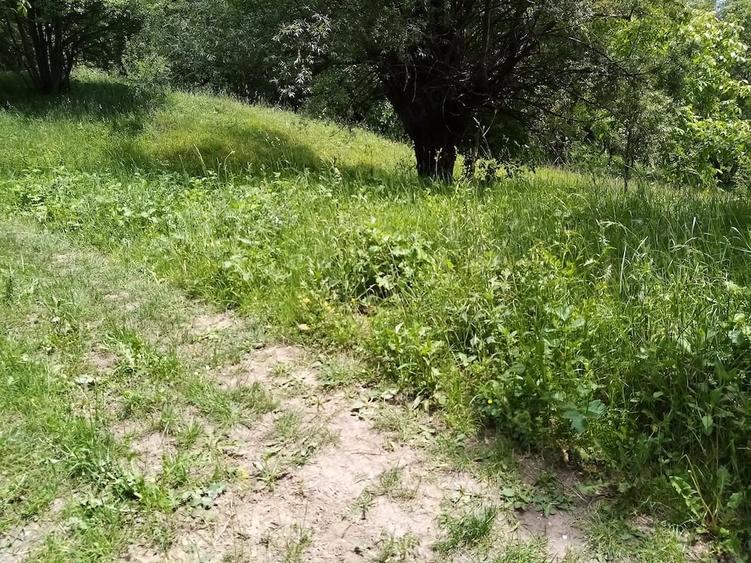 Teren de 3999 mp, în Șerbănești (Sălătrucel)