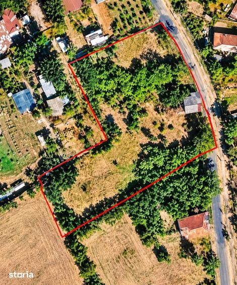 Teren de 2499 mp, în Sârbeni