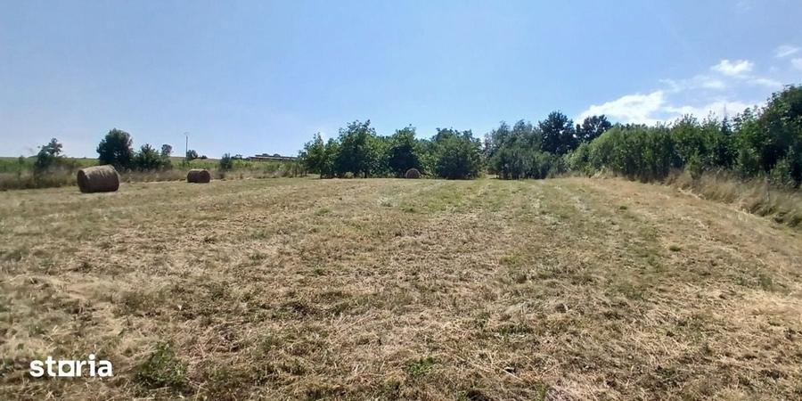 Casa in Comsesti cu teren intravilan 1800mp, acces bun - 19