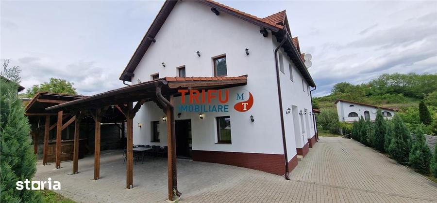 Spațiu comercial, de 390 mp, în Cetate