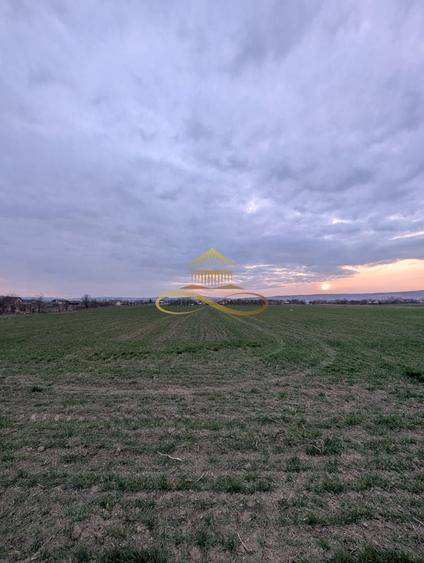 Teren agricol intravilan de 7774 mp, în Lilieci