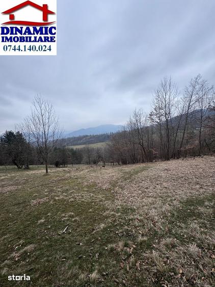 Teren de 6000 mp, în Alexandru cel Bun