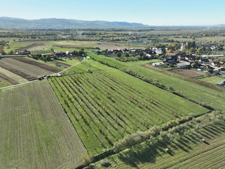 Teren intravilan de 14527 mp, în Aușeu