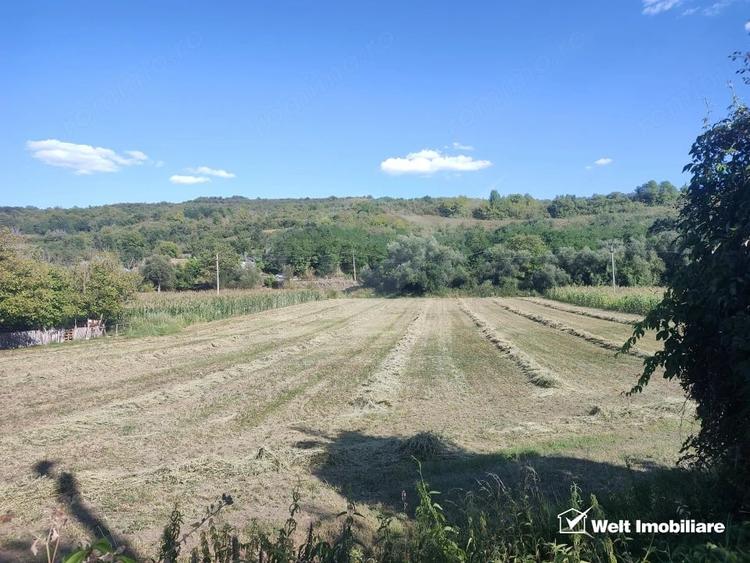 Teren de 1900 mp, în Țaga