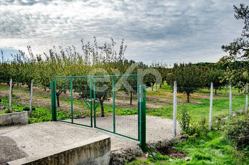 Teren Construcții intravilan de 1191 mp, în Sârbova