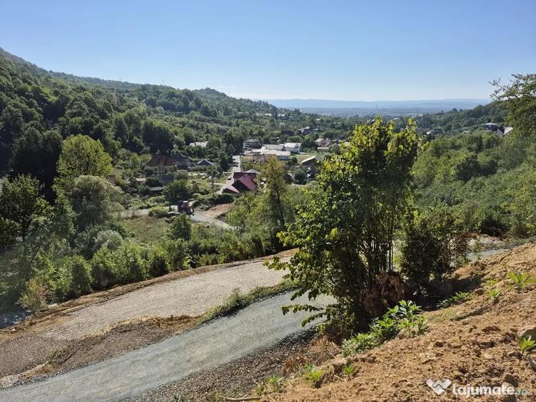 Teren în Valea Borcutului