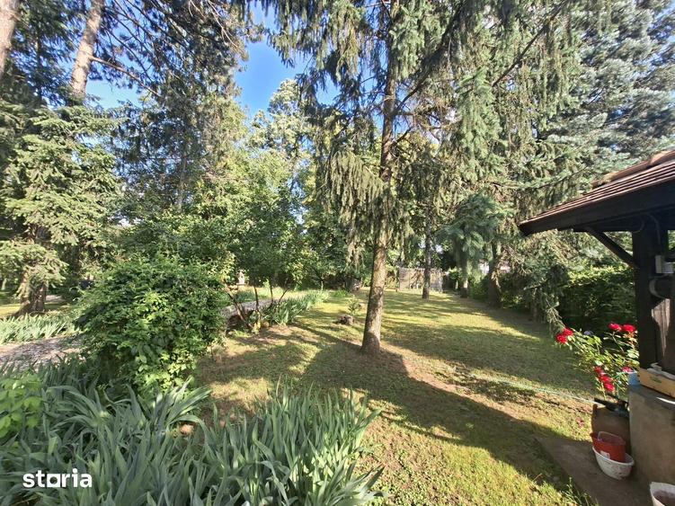 Casa cu Pini. Un refugiu in culoarea naturii. - 15
