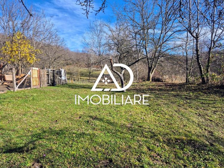 Casă individuală cu 4 camere cu Teren 1748 Mp în Cernișoara