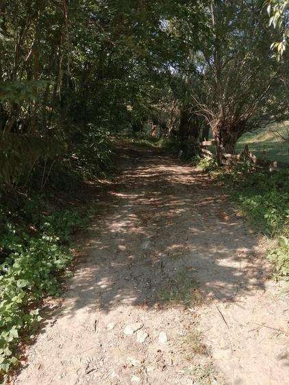 Teren de 1600 mp, în Cacica
