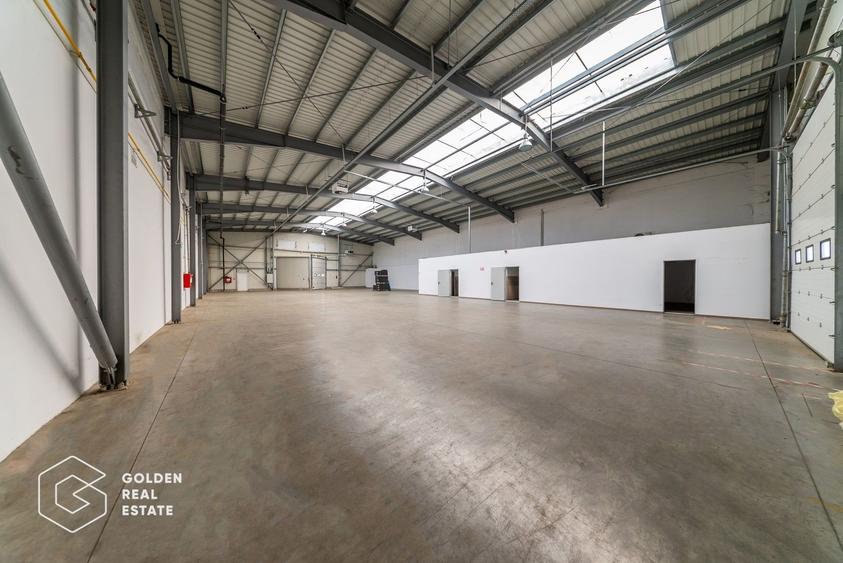 Spațiu industrial, de 704.71997070313 mp, în Aradul Nou