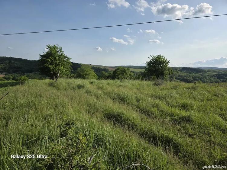 Teren de 3600 mp, în Drăgușani