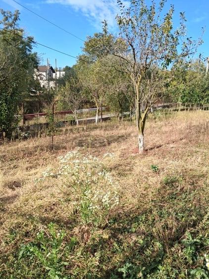Teren Construcții intravilan de 750 mp, în Cocorăștii Mislii