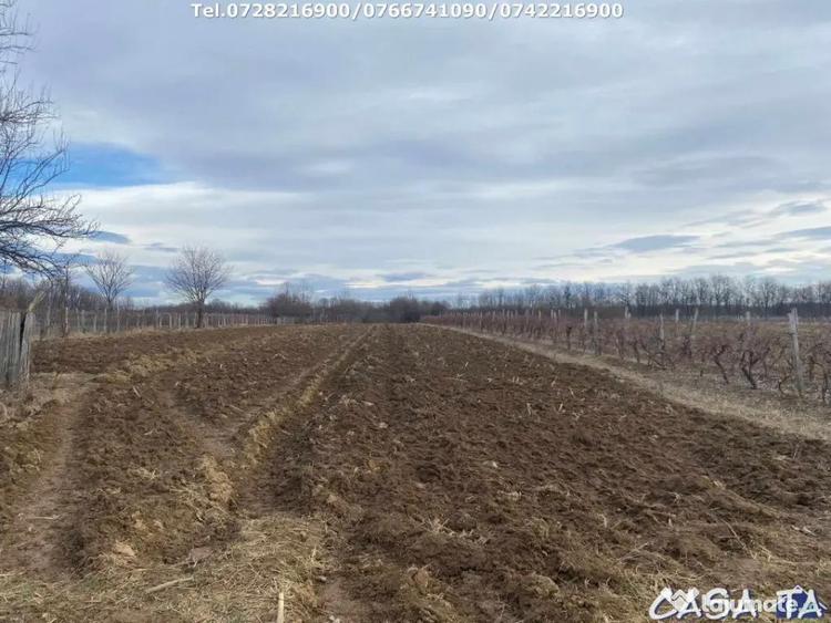 Casă cu 3 camere cu Teren 3300 Mp în Central