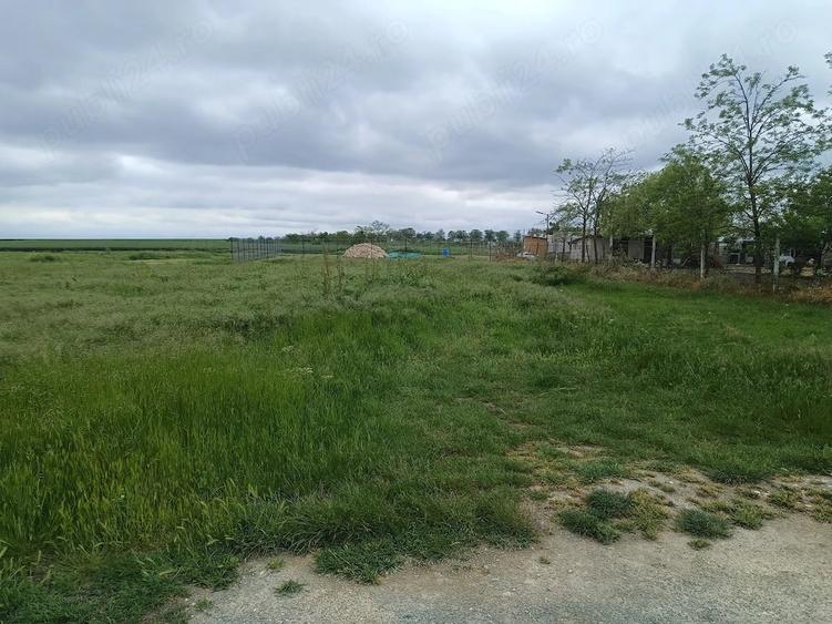 Teren de 849 mp, în Comana