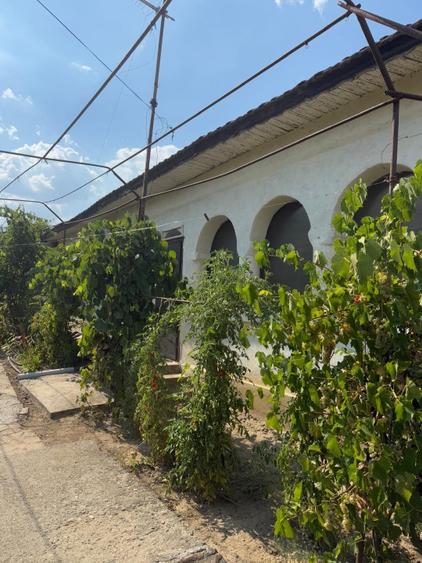Casă individuală cu 4 camere cu Teren 2700 Mp în Mihăița