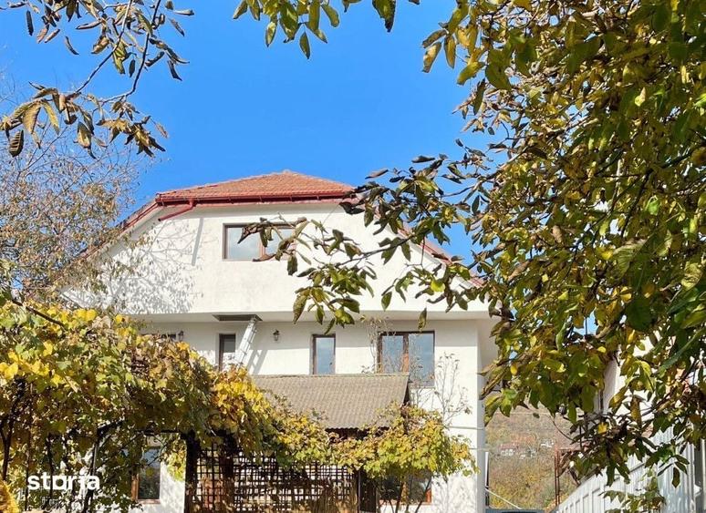 Casa 7 camere Alexandru cel bun (Jud. Neamt) , 230 metri Cod:157192 - 10