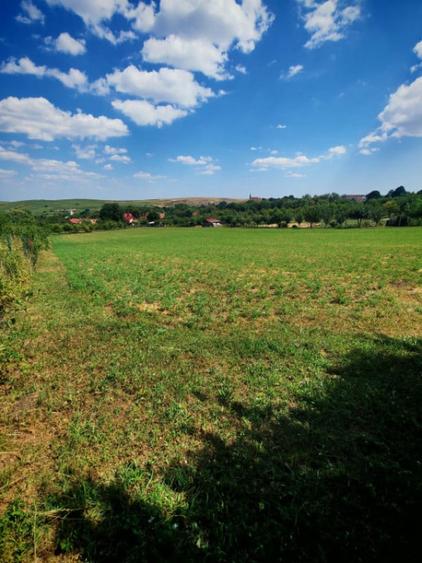 Teren de 7694 mp, în Tureni