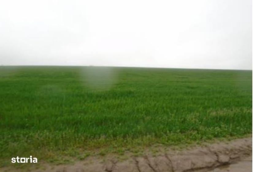Teren de 4849 mp, în Valea Mare