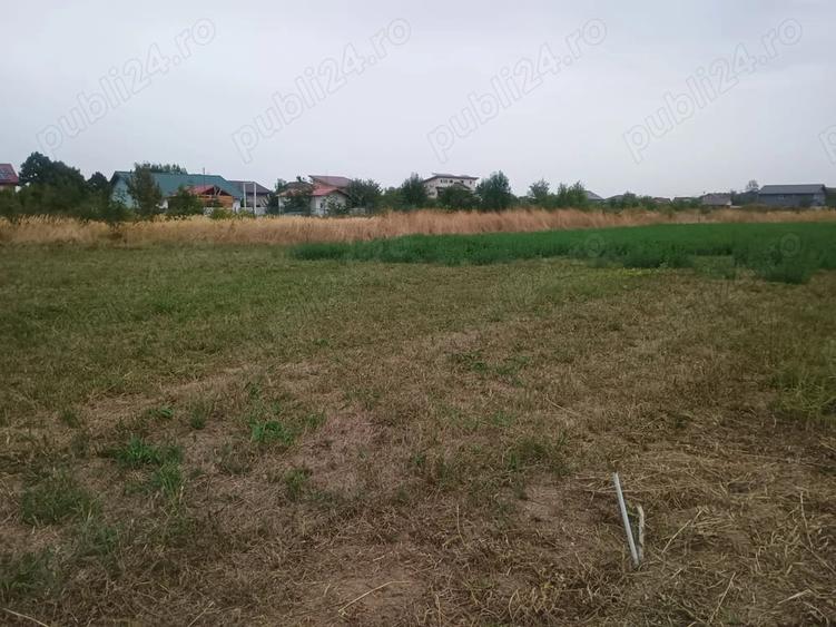 Teren pentru casa in Teghe?-Domne?ti | 600 mp | La asfalt, utilita?i ?i 3 minute de STB - 3