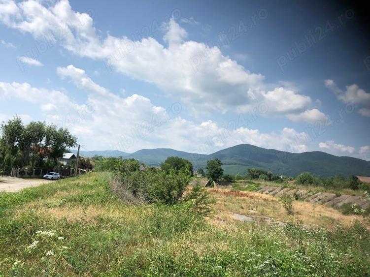 Teren de 5470 mp, în Ciritei