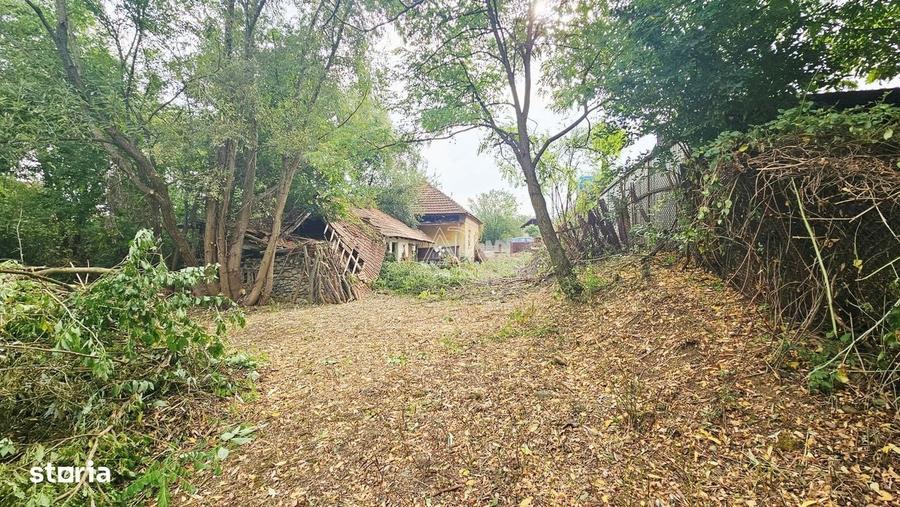 Casă cu 2 camere în Curtișoara