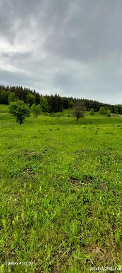 Teren de 3465 mp, în Trăisteni