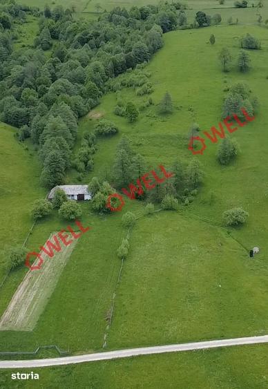 Teren de 3200 mp, în Barcani