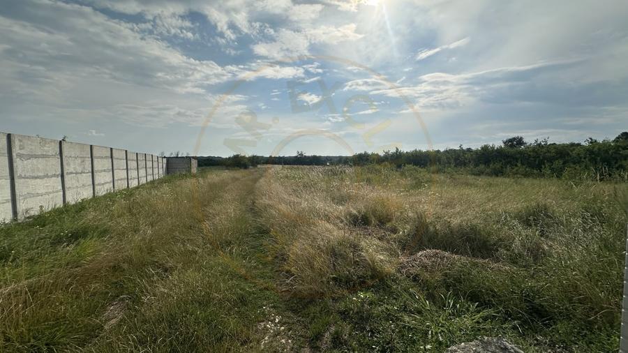 Teren Construcții intravilan de 530 mp, în Albota