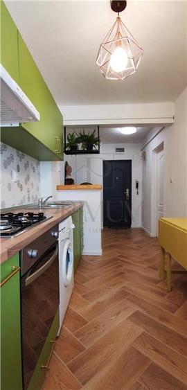 Apartament cu 2 camere semidecomandat, mobilat în Șagului