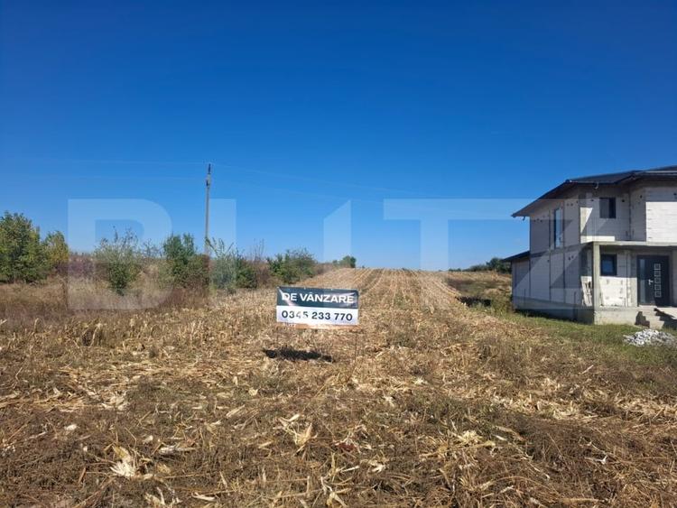 Teren Construcții intravilan de 5000 mp, în Bungetu
