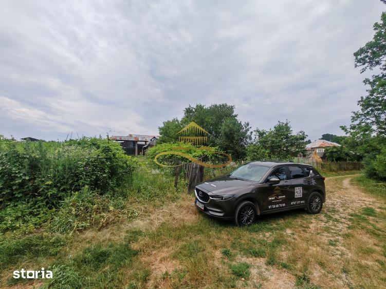 Casă cu 4 camere cu Teren 3300 Mp în Blăgești