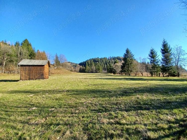 Teren de 8000 mp, în Vama