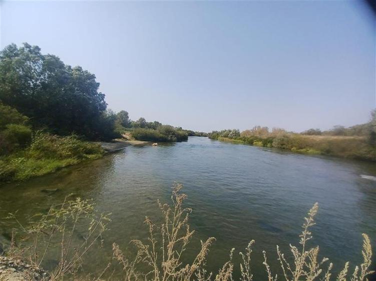 Teren extravilan de 38000 mp, în Adunații-Copăceni