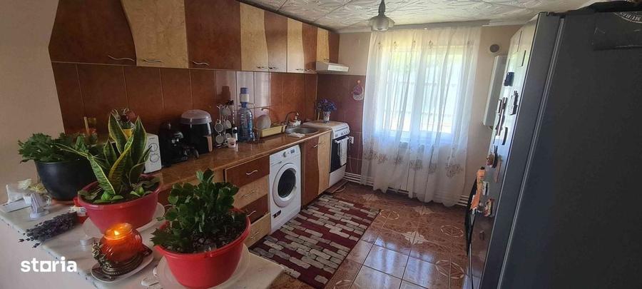 Lazu casa 3 dormitoare, teren 515 mp - 3