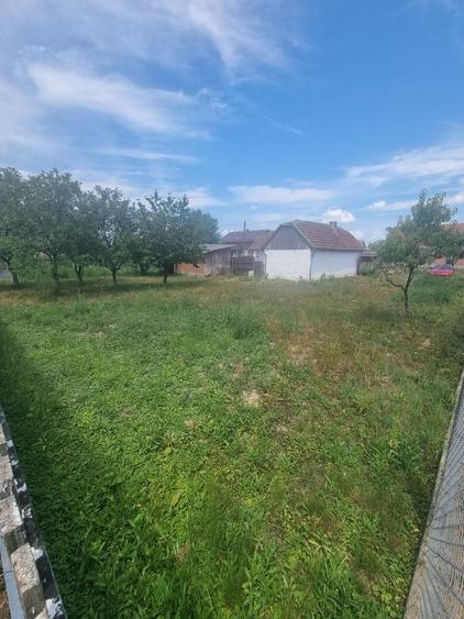 Casă cu 2 camere în Micula