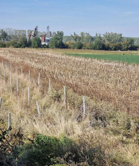 Teren de 3000 mp, în Central
