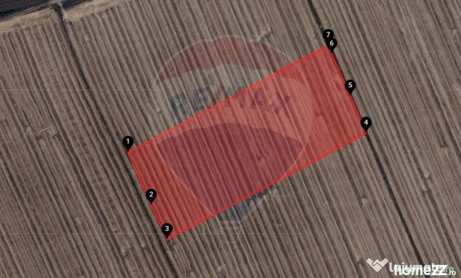 Teren extravilan 46,300mp Curtici - 1
