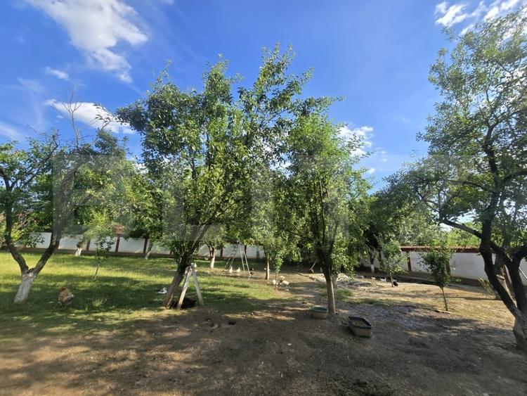 Teren Construcții intravilan de 1227 mp, în Titu