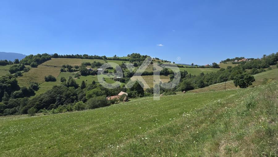 Teren agricol extravilan de 3757 mp, în Poiana Mărului