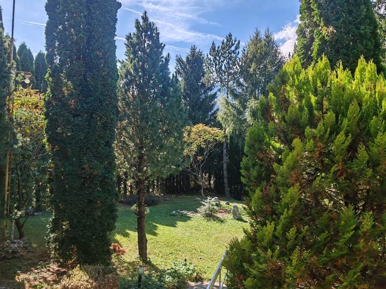 Casă individuală cu 4 camere cu Teren 1780 Mp în Piatra Arsă