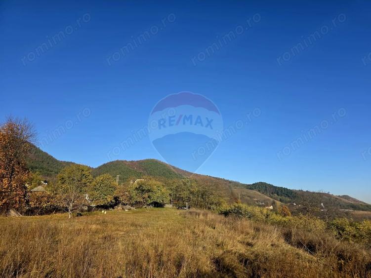 Teren de 6874 mp, în Alexandru cel Bun