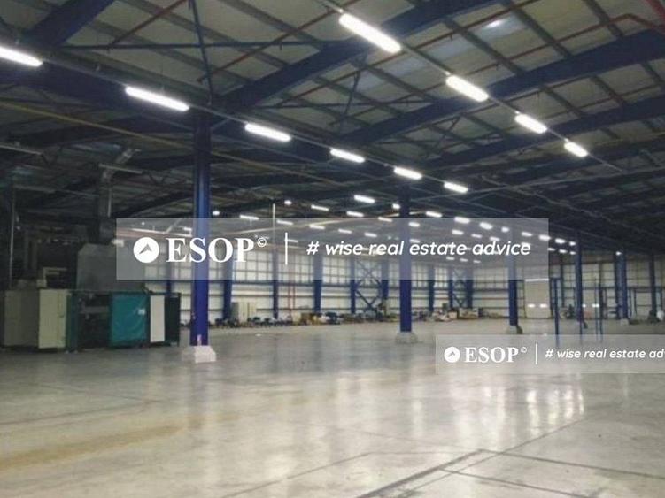 Spațiu industrial, de 4,500 mp, în Remetea Mare