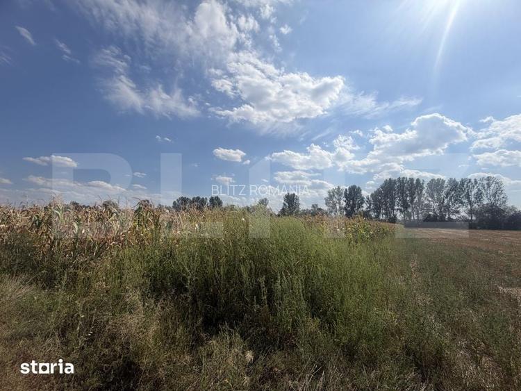 Teren extravilan, 9000 mp, zona Nusfalau